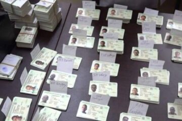 Bilan de l'année 2024 des réalisations de l'ONI