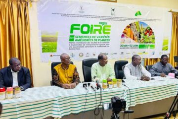 Conférence de presse sur l'organisation de la Foire aux semences de variétés améliorées de plantes, 29 mai 2025