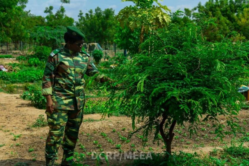 Visite d'une équipe technique du ministère de l’Environnement sur le site de reboisement de la Journée nationale de l’arbre (JNA) 2023 à Toudouwéogo, Ouagadougou, 11 juin