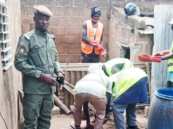 La police municipale a mené une opération de saisie ciblée contre l’élevage de porcs en zone urbaine