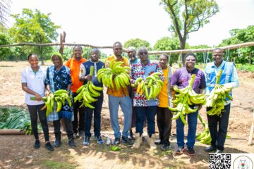 Une délégation de Conseillers spéciaux du Président du Faso ont visité les champs de bananes plantain à Diarradougou dans la province du Houet (région des Hauts-Bassins), 28 juin 2025