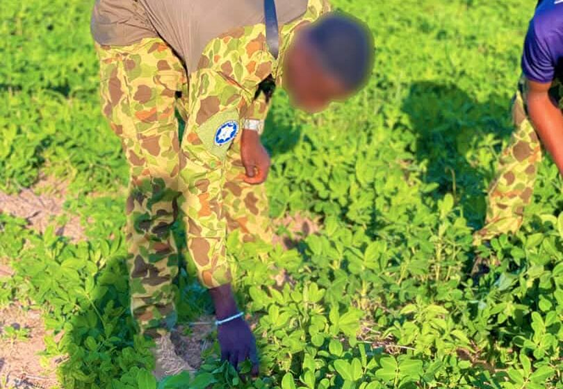 Dans le cadre de la stratégie nationale àalliant sécurité et autosuffisance alimentaire, l’Escadron de Sécurisation Routière et d’Intervention de la Deuxième Légion de Gendarmerie (ESRI II) a emblavé 43 hectares de terres agricoles à Bondokuy