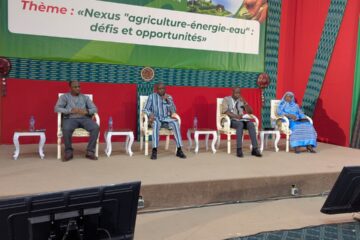 A l'occasion de la SEERA 2025, le ministre chargé de l'Energie a animé un panel de haut niveau, 7 novembre 2025