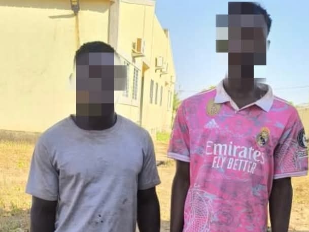 La police nationale a mis aux arrêts deux individus qui s’adonnaient à des actes d’agressions, de vols à main armée et de viols dans les quartiers Bassinko et Yagma de la ville de Ouagadougou
