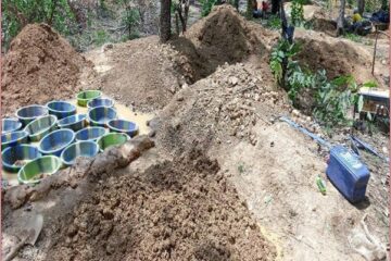 Une enquête sur l'impact de l'orpaillage et le changement climatique sur la forêt classée de Lougouani au Mali financée par la CENOZO