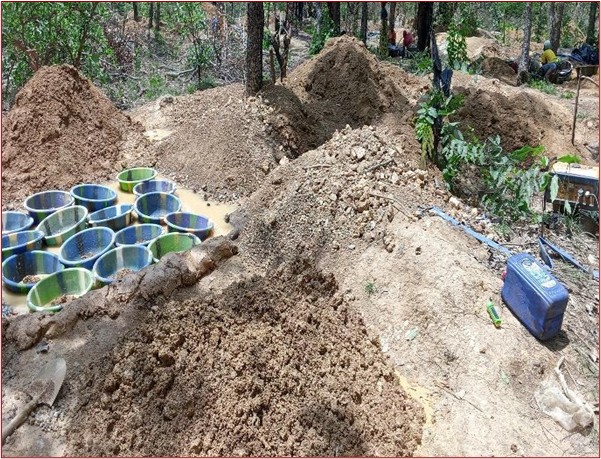 Une enquête sur l'impact de l'orpaillage et le changement climatique sur la forêt classée de Lougouani au Mali financée par la CENOZO