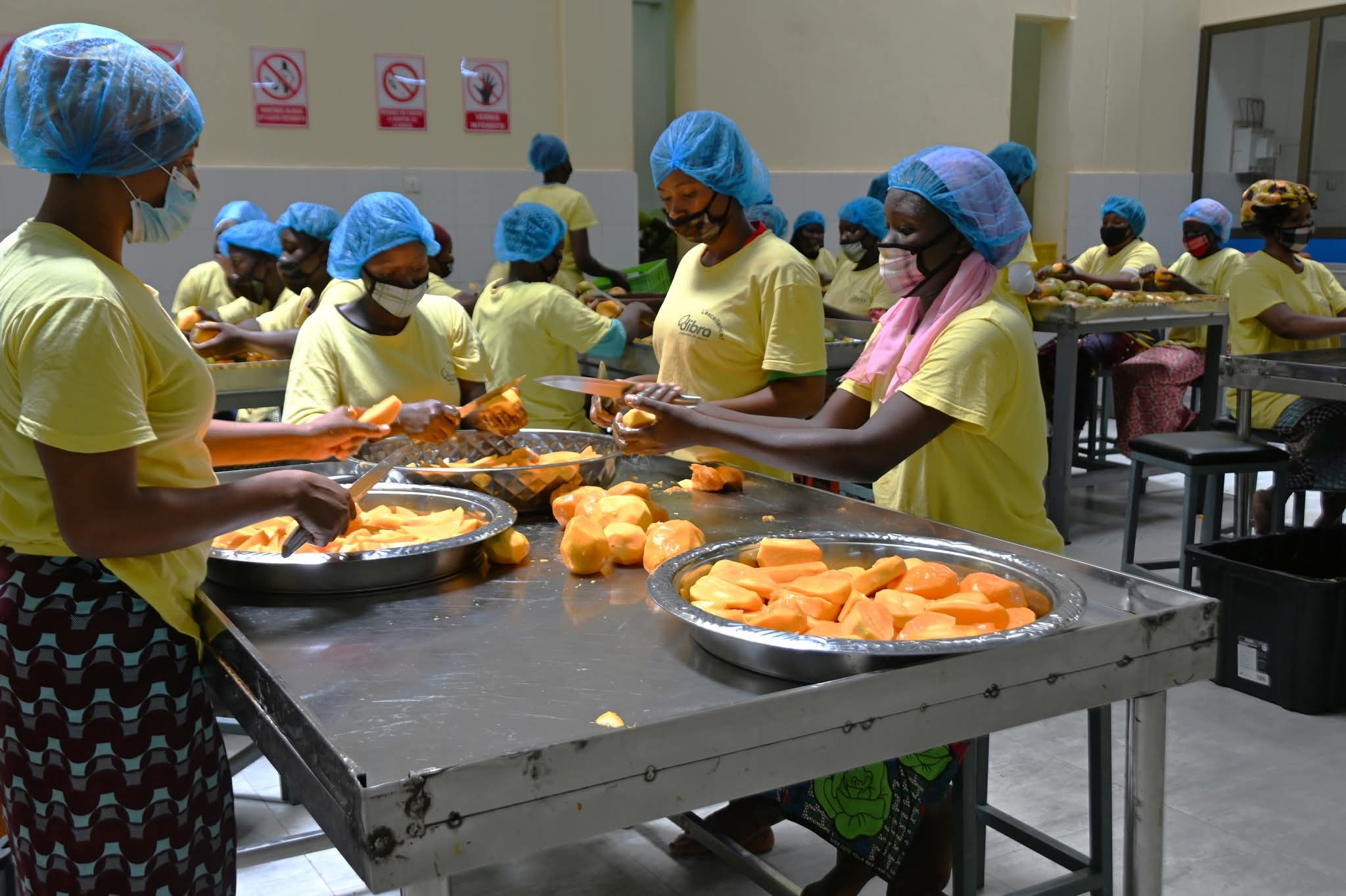 Le représentant résident de la Banque mondiale au Burkina visite les investissements du PReCA, 15 juin 2026