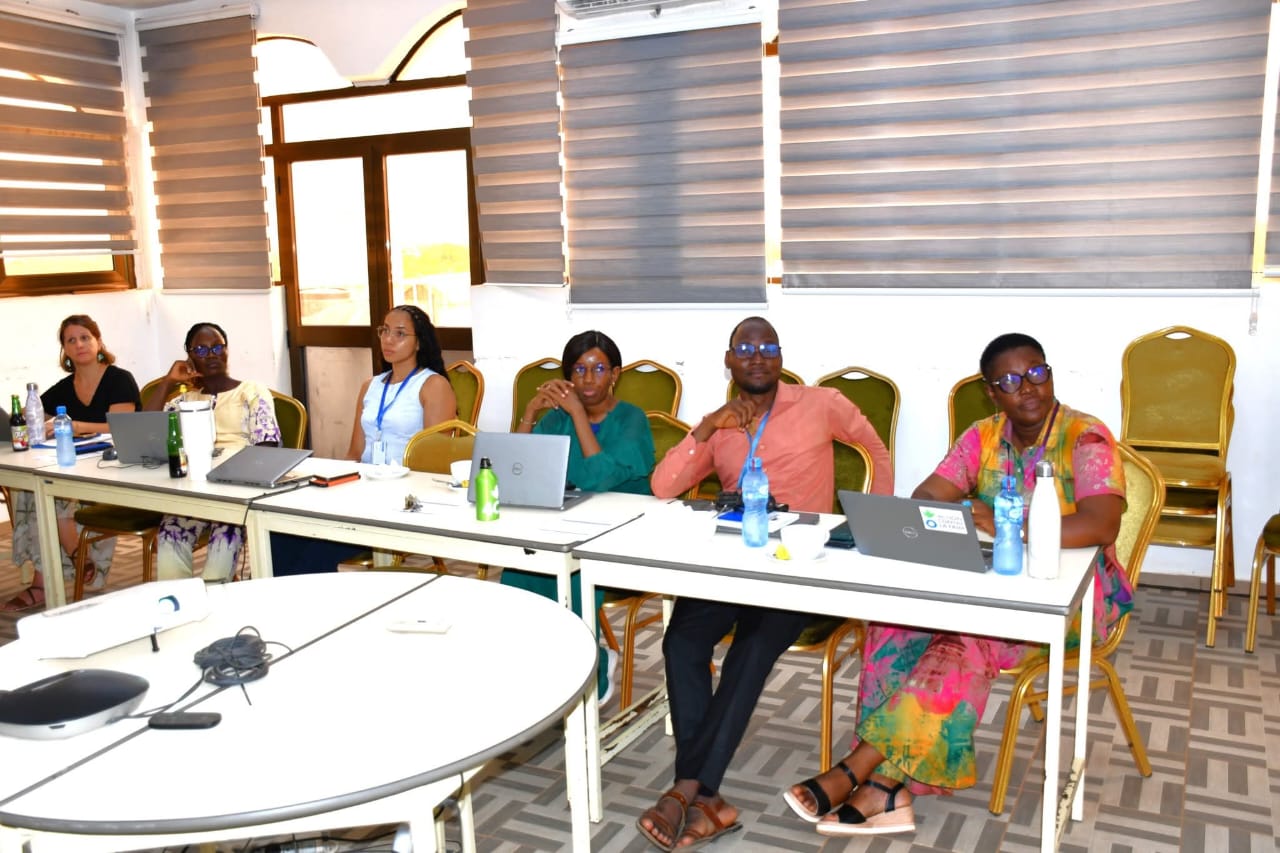 Atelier de révision de
la feuille de route en matière de plaidoyer de Action Contre la Faim Burkina, 2 au 3 juin