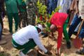 A l'occasion de le JNA 2026, la Cour de Cassation a fait une journée de reboisement dans son bosquet, 20 juin 2026 à Ouagadougou