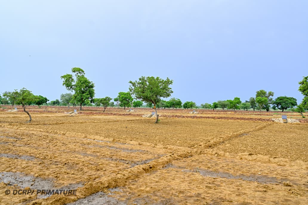 Visite du Premier ministre sur le site des aménagements communautaires de bas-fonds de Yibi, village de la commune d’Arbollé, dans la province du Passoré, 03 juillet 2026